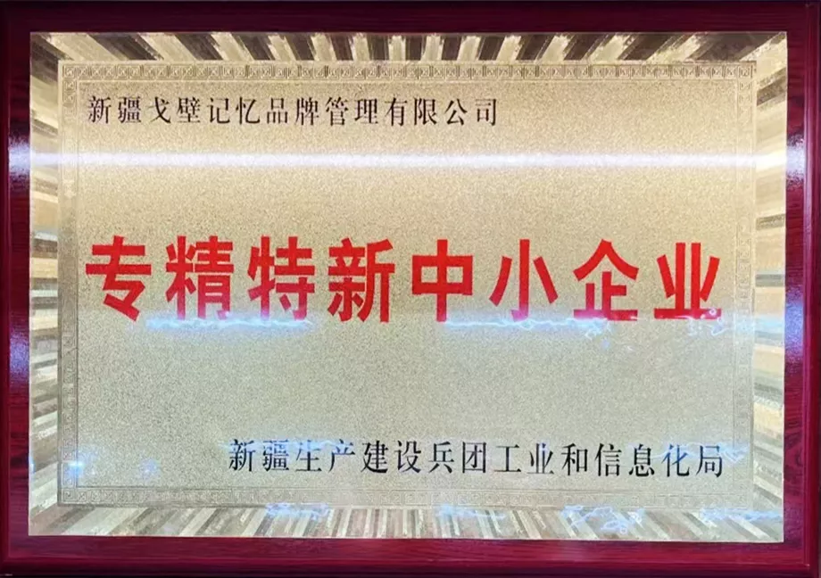 专精特新中小企业