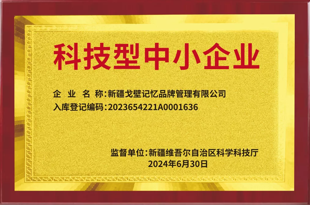 科技型中小企业