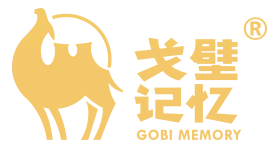戈壁记忆